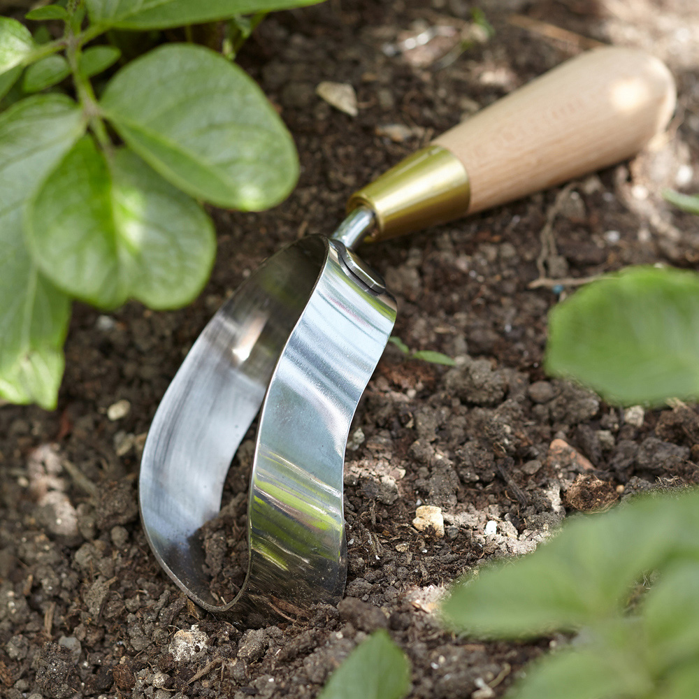Sophie Conran Stainless Steel Ergonomic Garden Hoe with Beech Wood Handle in Gift Box Image 2