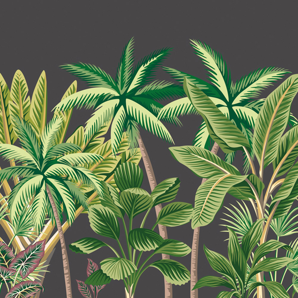 Origin Murals Tropical Palm Trees Black Wall Mural Image 2