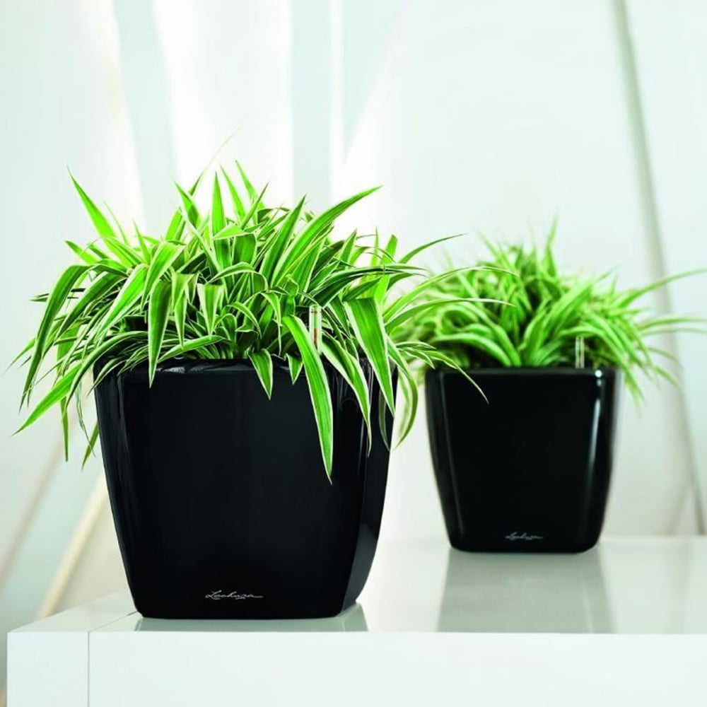 Lechuza Quadro LS 35 Black Poly-Resin Self-Watering Planter 33cm Image 2