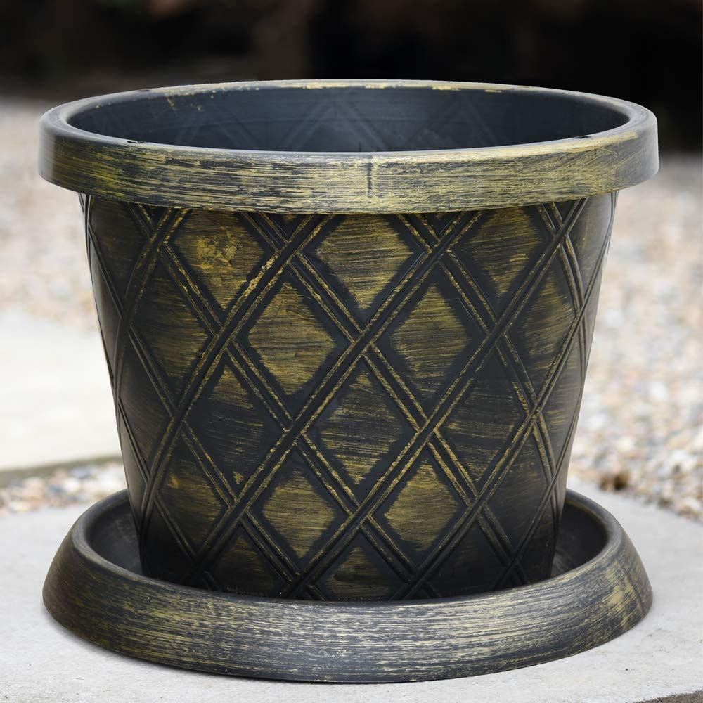 Thompson and Morgan Raspberry Autumn Bliss 12 Canes with Large Patio Pot and Saucer 4 Pack Image 4