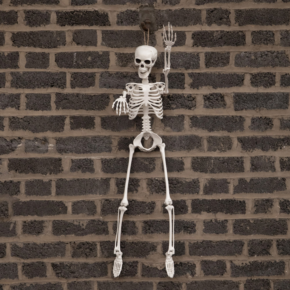 Samuel Alexander Posable Full Body Skeleton Halloween Decoration 3ft Image 3