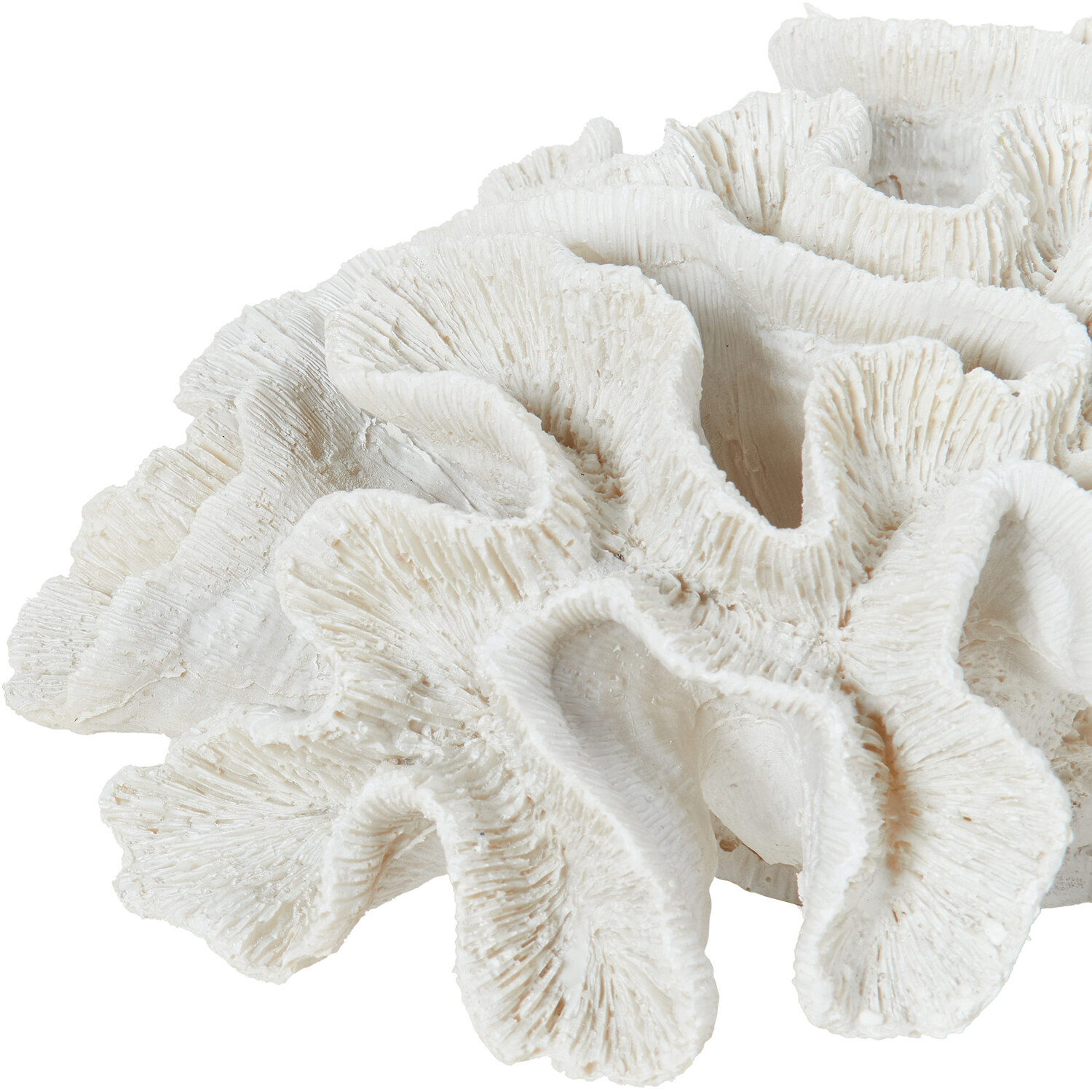 24cm Coral Ornament - White Image 4