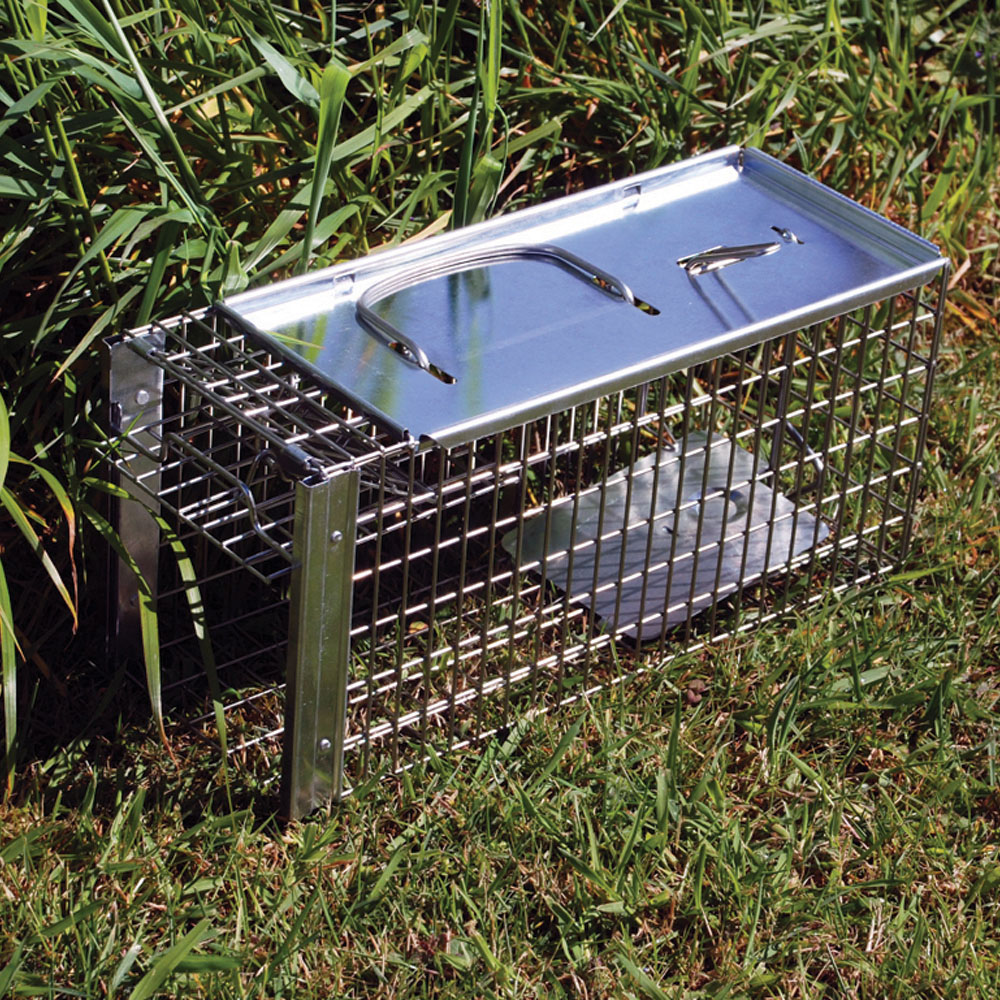 The Big Cheese Ultra Power Rat Cage Trap Image 4