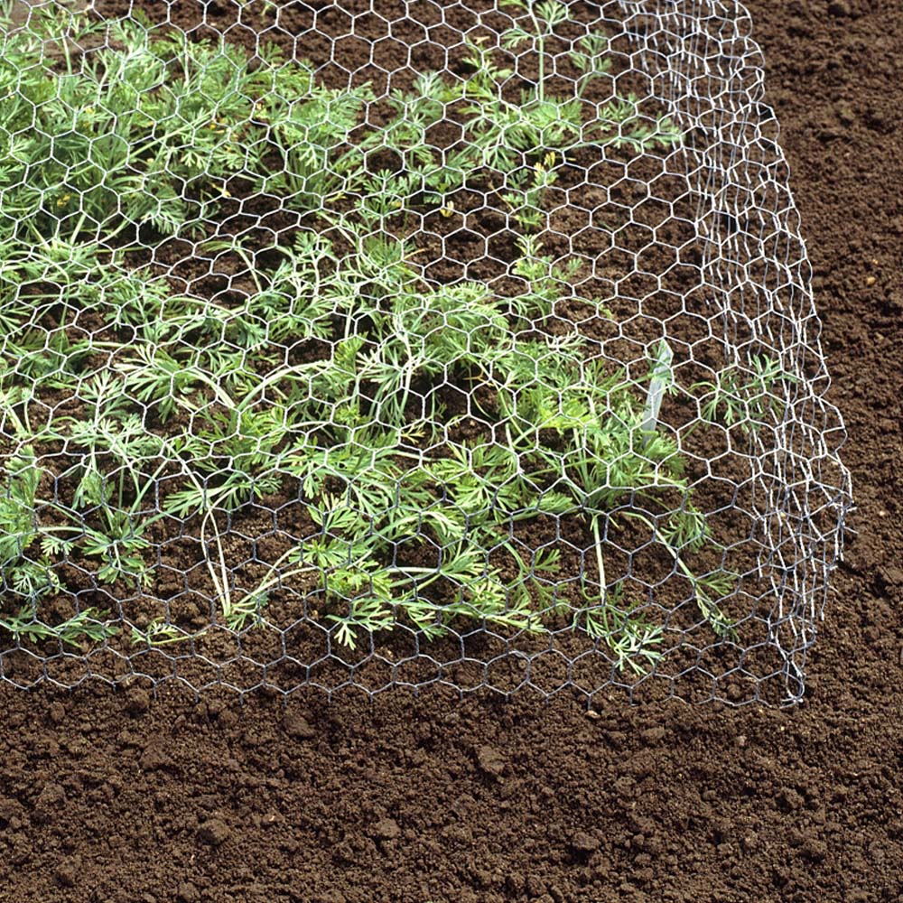 Living and Home Galvanized Hexagonal Wire Mesh Fence Netting 5m Image 2