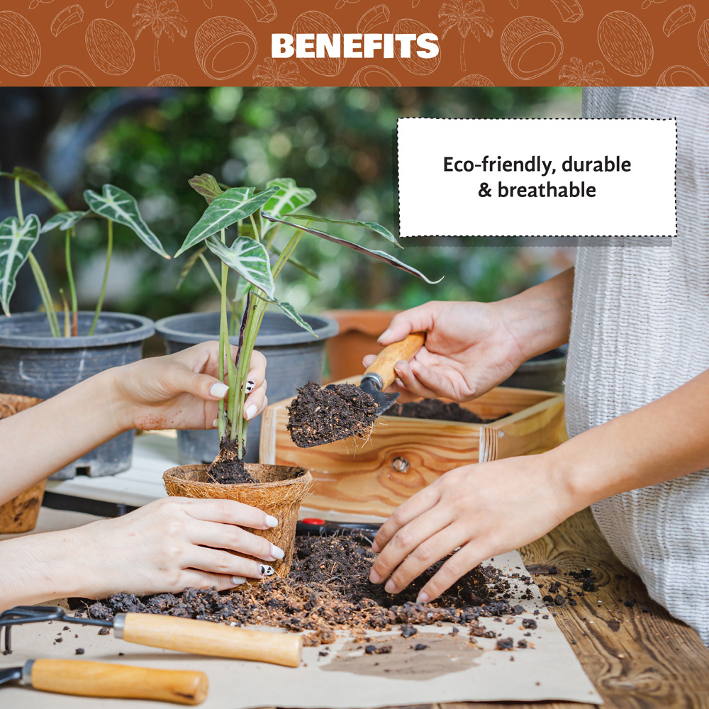 Coco & Coir Round Propagation Pot 6cm 24 Pack Image 3