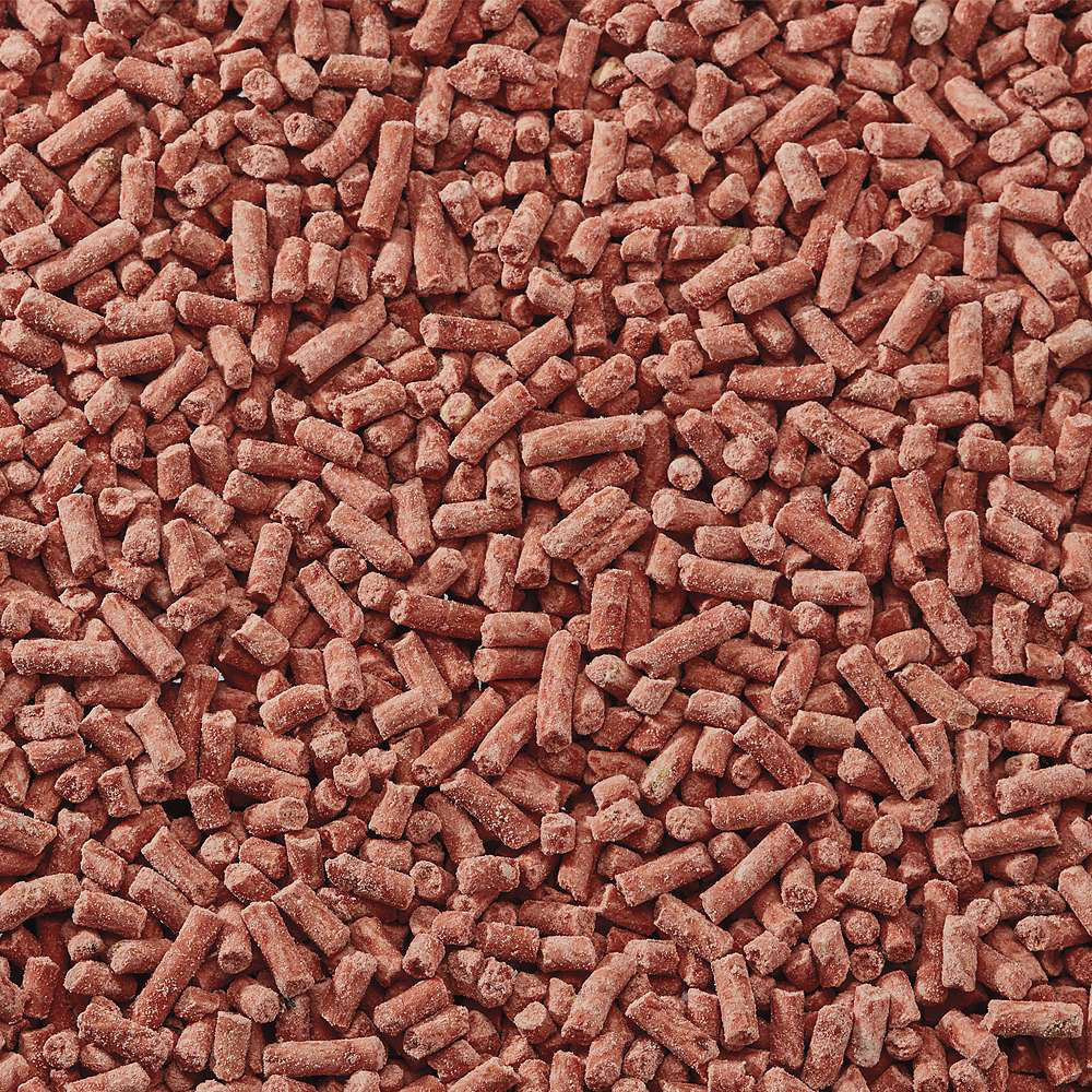 Happy Beaks Berry Suet Pellet Bird Food 3kg Image 4
