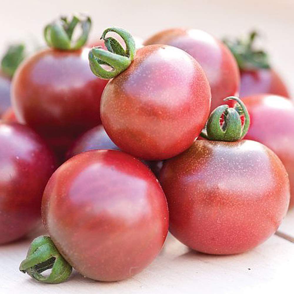 Thompson and Morgan Tomato Rosella F1 Hybrid Seeds Image 2