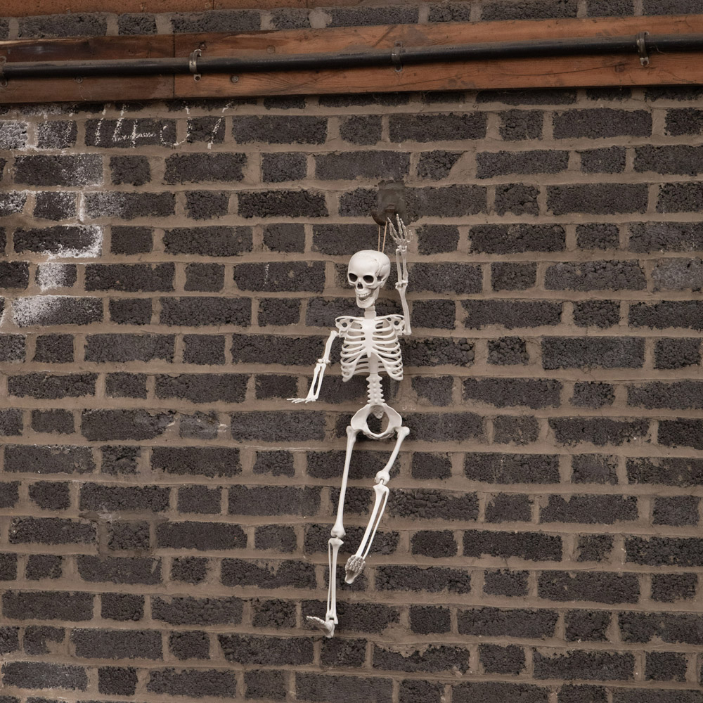 Samuel Alexander Posable Full Body Skeleton Halloween Decoration 3ft Image 4