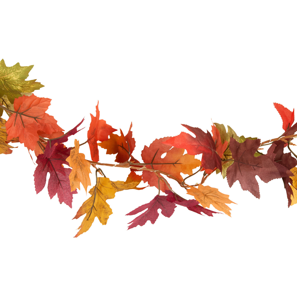 20 LED Autumnal Garland String Light Image 6