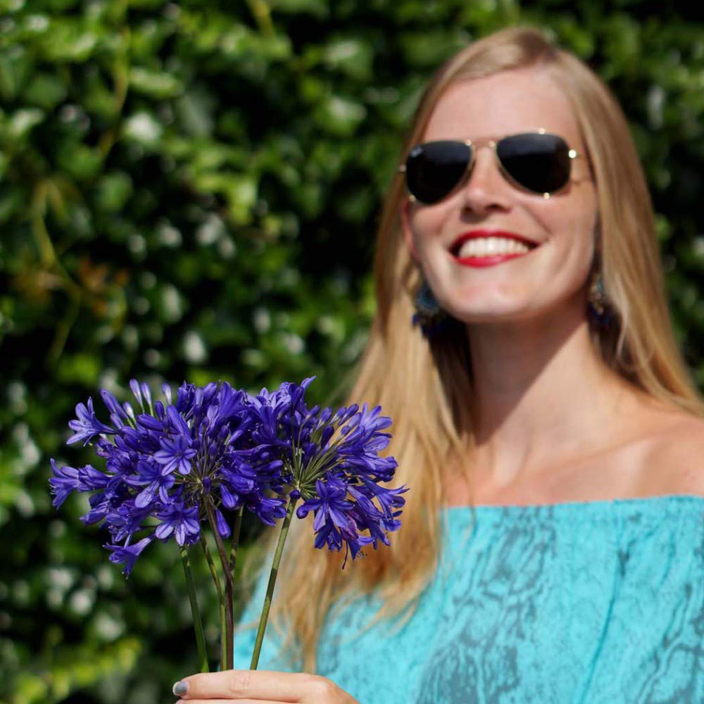 Thompson and Morgan Agapanthus Brilliant Blue Plant Pot 3L 3 Pack Image 4