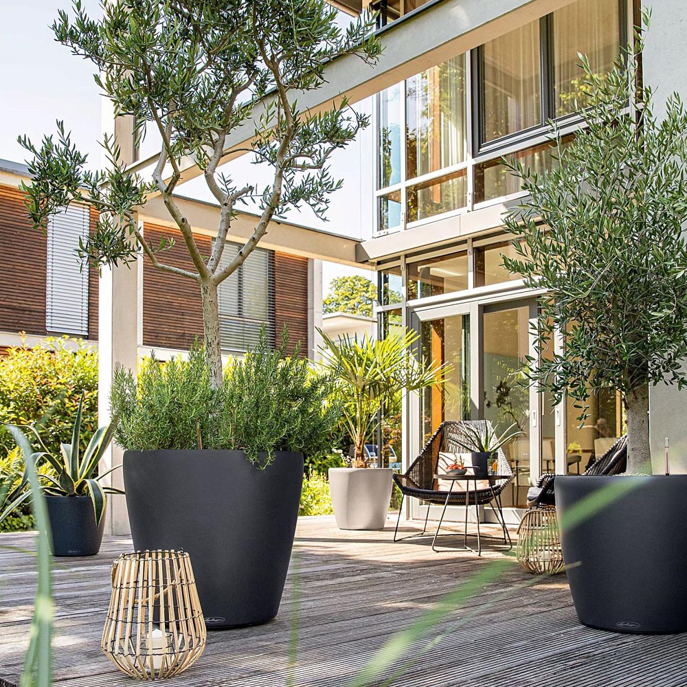 Lechuza Classico Colour 60 White Poly-Resin Self-Watering Planter 56cm Image 5