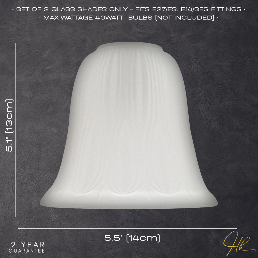 Happy Homewares Frosted Etched Glass Shade 2 Pack Image 7