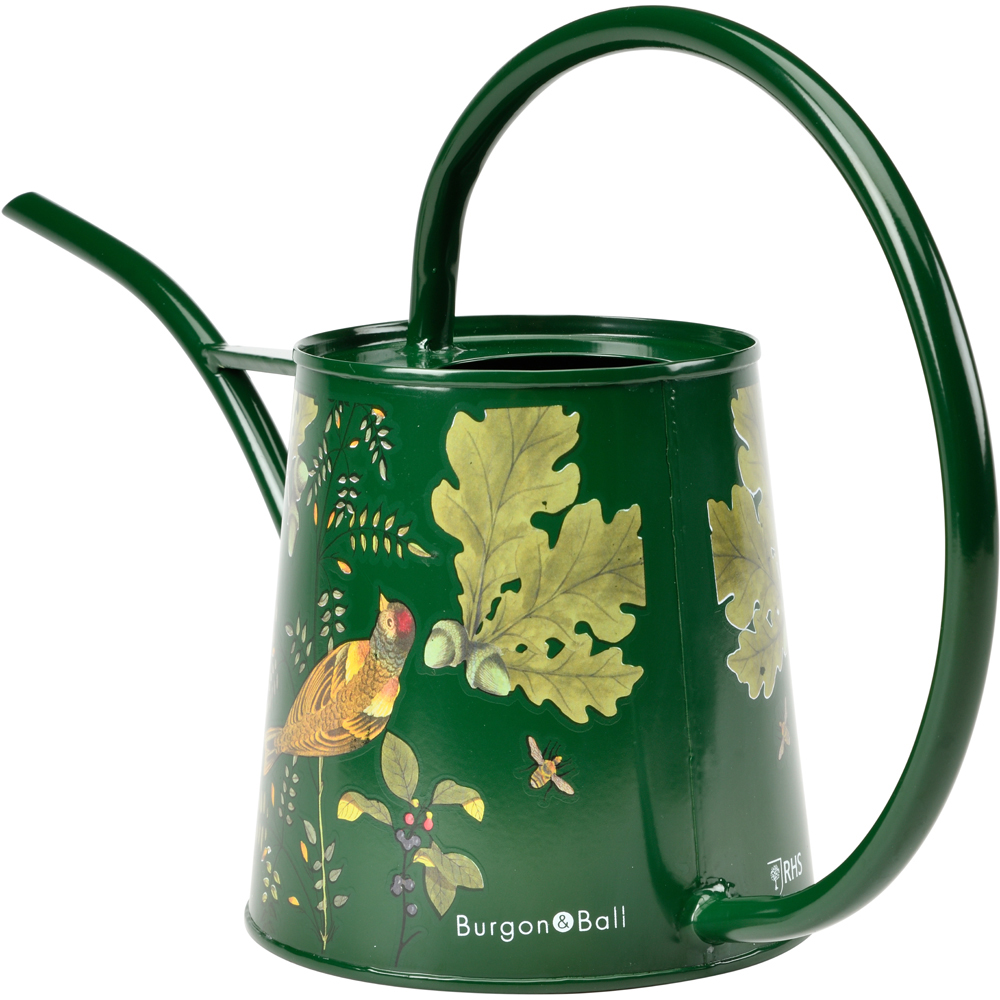 RHS Woodland Wonders Galvanised Steel Indoor Watering Can 1L Image 4