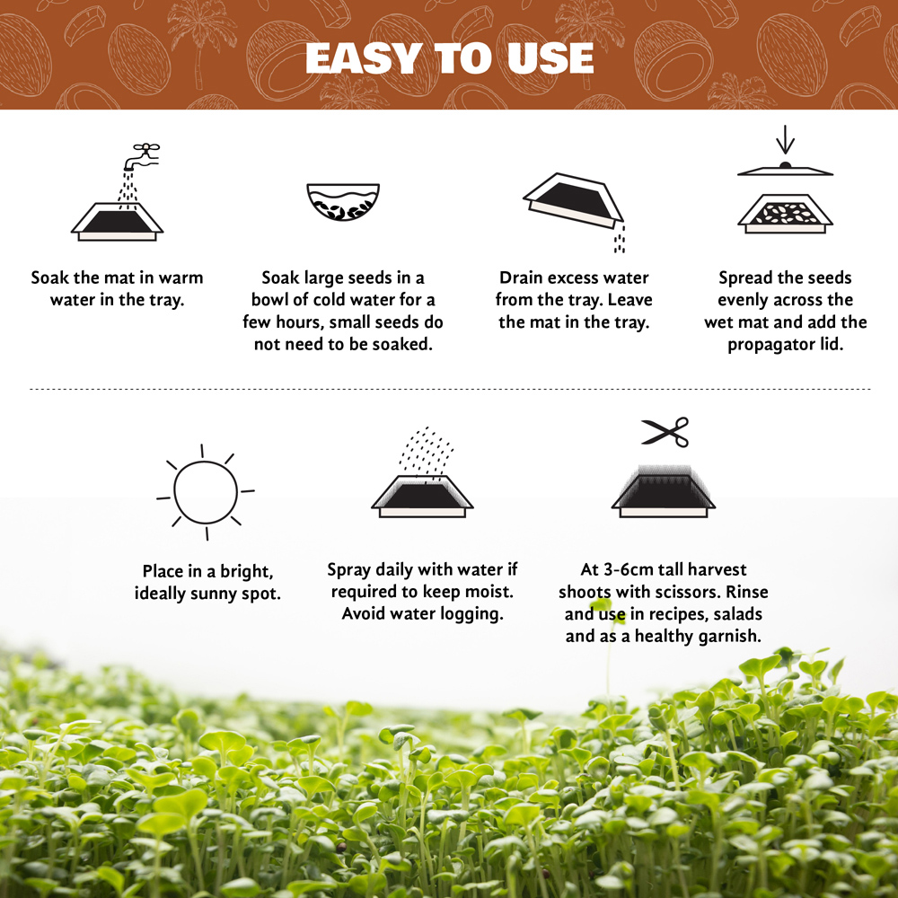 Coco & Coir Mini Microgreen Growing Kit Image 5