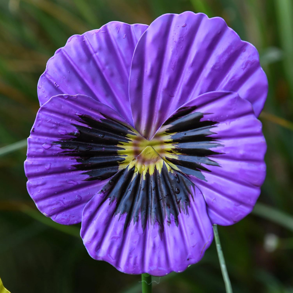 Garden Gear Mixed Metal Pansy Stake 60cm 12 Pack Image 3