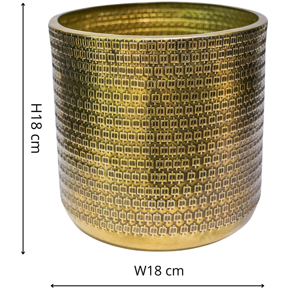 Ivyline Solis Gold Embossed Planter 18 x 18cm Image 7