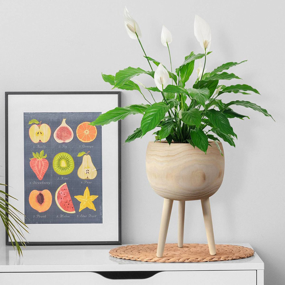 LECHUZA Hortico Trend Wooden Round Indoor Plant Pot 36 x 23cm 2 Pack Image 6