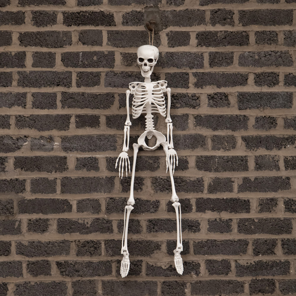 Samuel Alexander Posable Full Body Skeleton Halloween Decoration 3ft Image 2