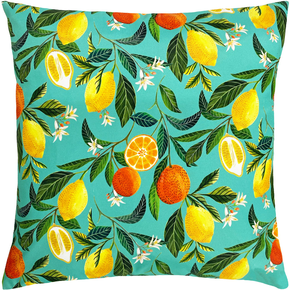 Evans Lichfield Orange Blossom Outdoor Reversible Cushion Image 1