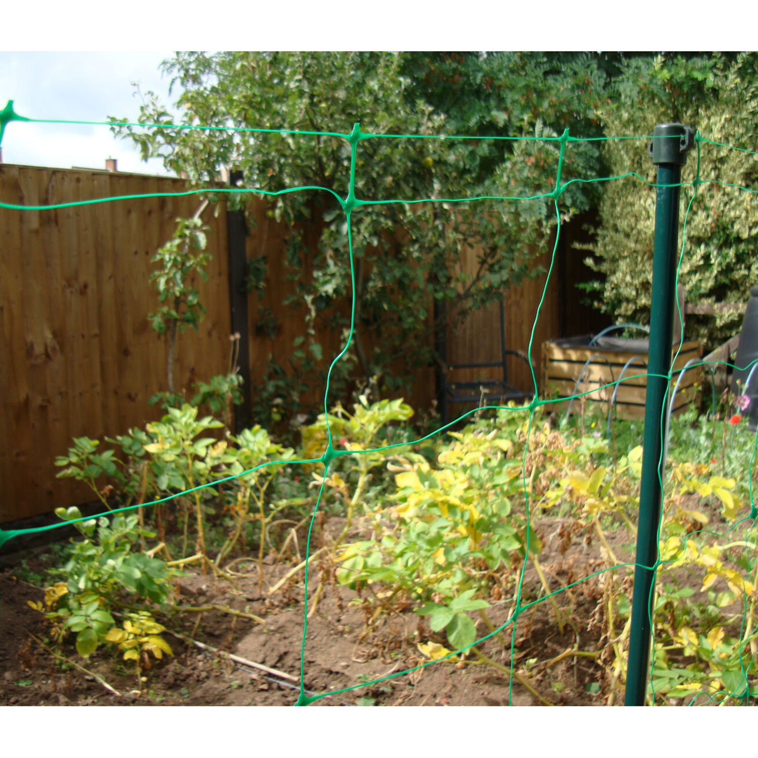 Net Stake 1M Image 2