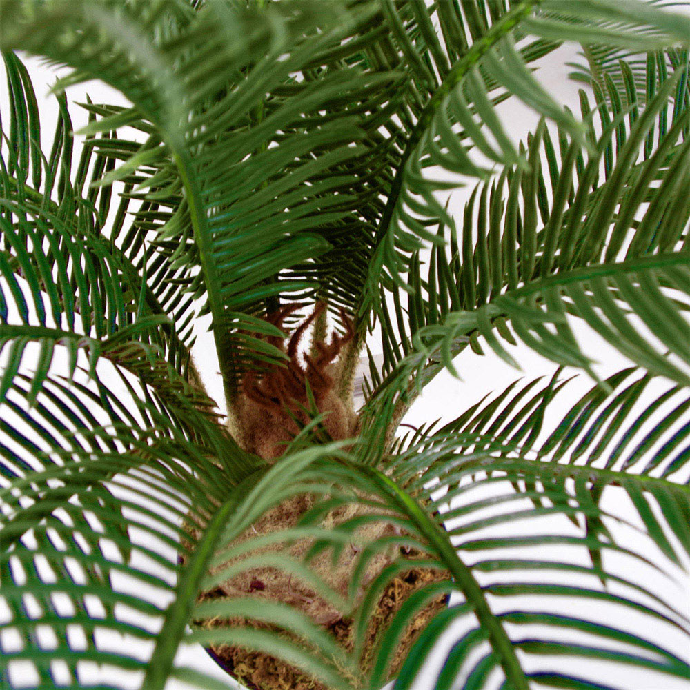 Leaf Cycas Palm Artificial Tree 60cm Image 3